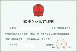 廣州軟件企業(yè)認(rèn)定 全面解讀與專(zhuān)業(yè)認(rèn)證咨詢(xún)服務(wù)指南